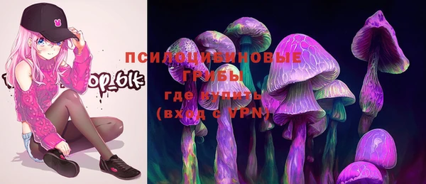 apvp Алексин