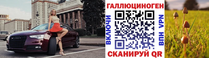 mega ссылки  Богородицк  Псилоцибиновые грибы мицелий 